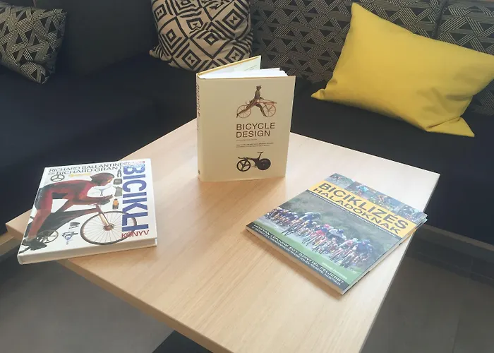 Hotel Ibis Styles 3*